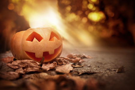 A cheerful smiling Jack O Lantern on a halloween autumn evening.の写真素材