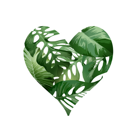 A green heart love concept made from tropical green palm plant leaves. Vector illustration.のイラスト素材