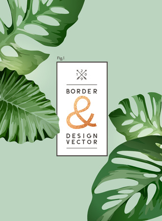 Green palm tree leaves on a frame design. Vector background.のイラスト素材