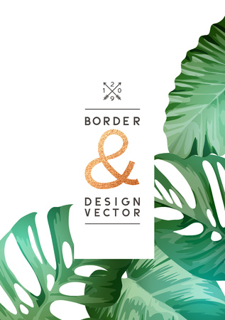 A selection of tropical leaves on a frame design background. Vector illustration.のイラスト素材
