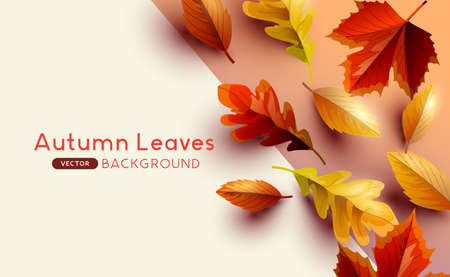 Autumn seasonal background frame with falling autumn leaves and copy space. Vector illustrationのイラスト素材