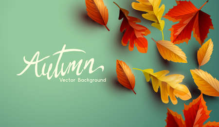 Autumn fall seasonal background design with golden, orange and red leaves. Vector background.のイラスト素材