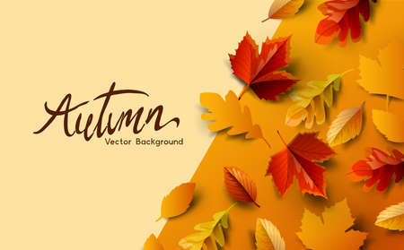 Autumn fall season background design with golden falling autumn leaves and room for copy text. Vector illustrationのイラスト素材
