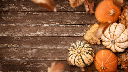 A rustic thanksgiving fall background with pumpkins and falliing leaves. Autumn season layout.の写真素材