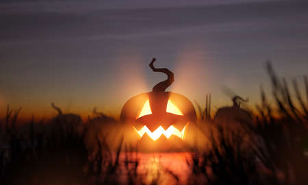A glowing halloween Jack O Lantern in a pumpkin patch field at night. 3D illustration.の写真素材