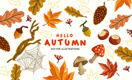 A collection of autumn natural elements with conkers and leaves. Vector illustration.のイラスト素材