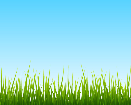 little green grass, blue sky seamless background, vector illustrationのイラスト素材