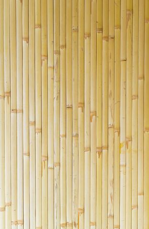 long yellow bamboo textureの写真素材