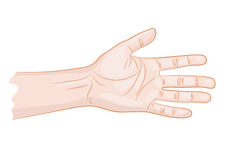man hand isolated vector illustrationのイラスト素材