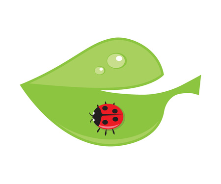 Green leaf with drops of dew and ladybird.のイラスト素材