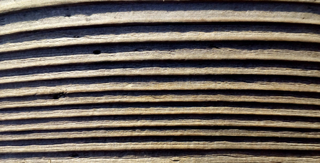 Old wood texture background. Close up wooden backgrounds. Closeup nature. Macro photography.