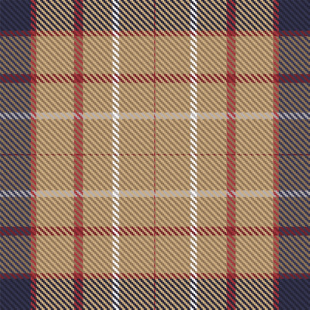Plaid pattern seamless. Check fabric texture. Stripe square background. Vector textile design tartan.のイラスト素材