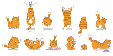 Set cartoon cute cats vector illustration. Red cat funny character.のイラスト素材