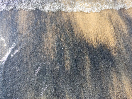 Beach wet sand texture. Sandy shore beige background. Empty clean seashore.