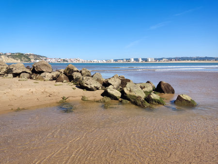 Beach wet sand texture. Sandy shore beige background. Empty clean seashore.の写真素材