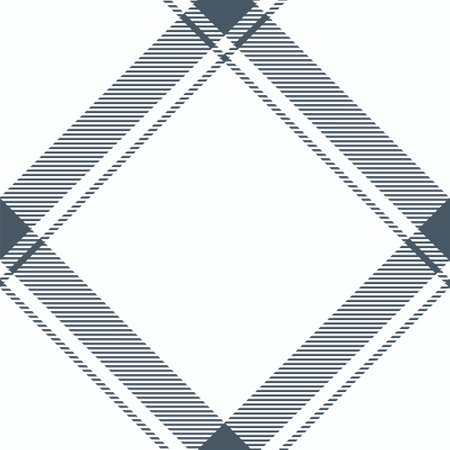 Plaid pattern vector. Check fabric texture. Seamless textile design for clothes, paper print or web background.のイラスト素材