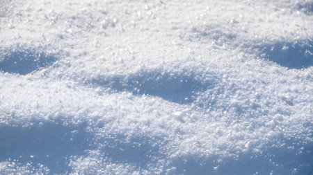 Fresh white snow texture top view. Perfection shining pure snowy background. Christmas clean backdrop.の素材