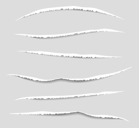 Torn edges paper pattern. Vector illustration.のイラスト素材