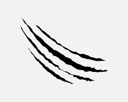 Claws scratches, animal monster mark design element, tattoo and decor for halloween. Black silhouette, vector illustration isolated on white background.のイラスト素材