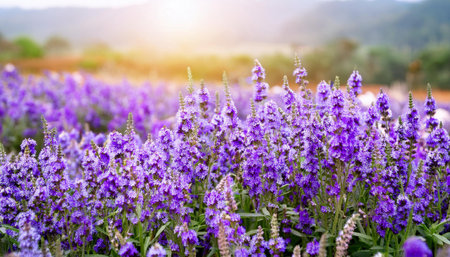 A vibrant purple flower stands out in the midst of a green field, surrounded by grass and under a clear blue sky on a sunny day.の素材