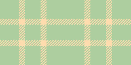Skirt plaid tartan background, elegance seamless pattern check. Popular fabric textile vector...