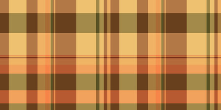 Striped seamless pattern tartan, funky vector fabric plaid. Close up check background textile...