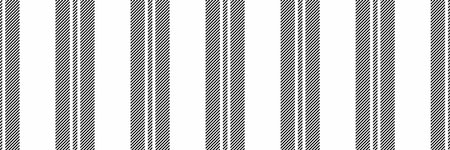 Anniversary vector texture vertical, relax pattern stripe fabric. Mexico textile lines seamless background in white and black colors palette.のイラスト素材