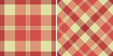 Check background texture of fabric seamless plaid with a pattern vector tartan textile. Set in food...