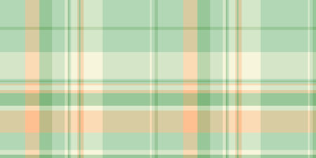Vertical plaid check textile, glamor pattern texture seamless. Damask vector background fabric tartan in light and pastel colors palette.のイラスト素材