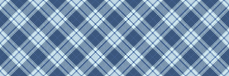 Elegant blue and white plaid pattern. Perfect for textile design, apparel, home decor, or website...