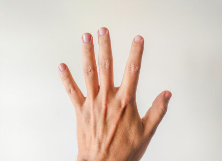 Closeup of a mans hand with fingers spread wide, against a clean white background. Perfect for illustrating concepts of counting, reaching, or human anatomy.の写真素材
