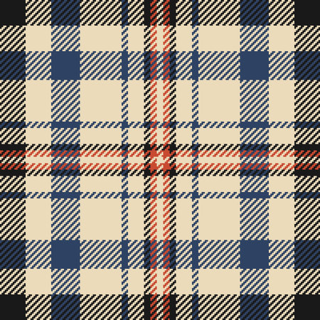 Elegant cream, navy, and rust plaid pattern. Perfect for textile design, fashion, or autumnal themed...