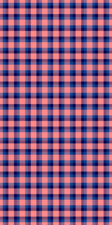 Vibrant coral and navy blue plaid pattern. Perfect for textile design, website backgrounds, or...