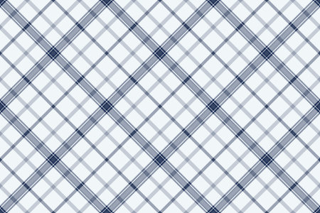Spanish plaid pattern tartan, table cloth fabric seamless texture. Home background textile vector check in white and blue colors palette.のイラスト素材
