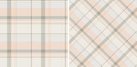 Tartan plaid textile of fabric texture background with a vector seamless pattern check. Set in food colors for creative uses of ornamental silk tape.のイラスト素材
