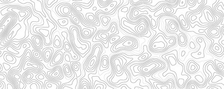 Topographic map contour background. Line topography map contour vector illustration.のイラスト素材