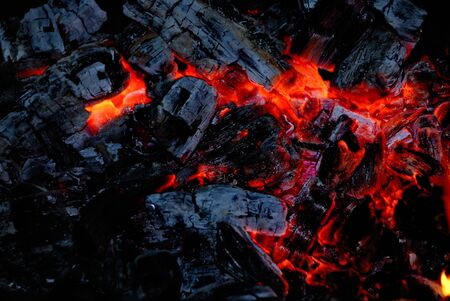 Closeup of the wood coal burns on fire