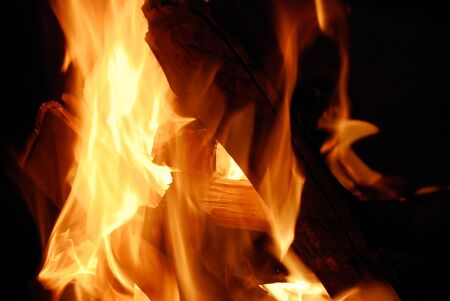 Burning fire wood on a black background