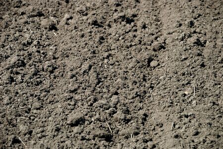 Background from ploughed earth in the field