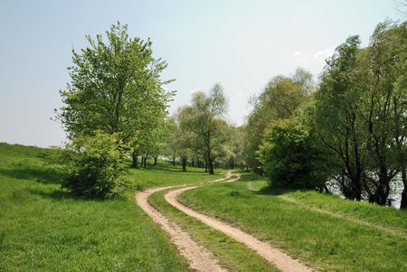 The wood road is bent between trees