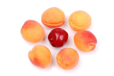 Ripe apricots and plums on white backgroundの写真素材