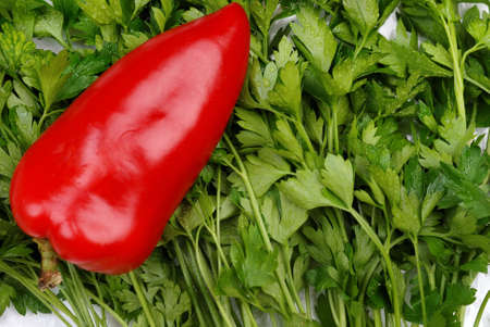 Composition from a background of parsley and red pepper with dropsの写真素材