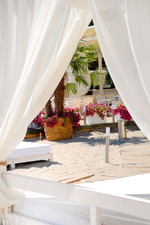 Area of a beach for comfortable rest with flowers and chaise longueの写真素材