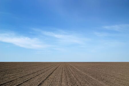 Background from an arable land and the skyの写真素材