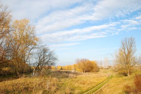 Autumn landscape with trees against the skyの写真素材