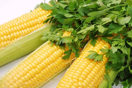 Yellow corn cobs and parsley on whiteの写真素材