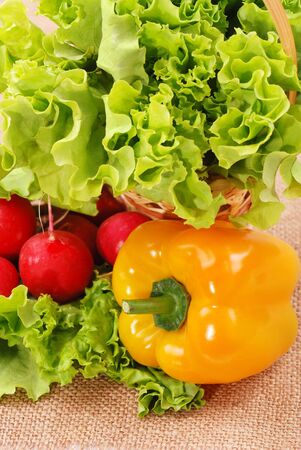 Composition from vegetables and greensの写真素材