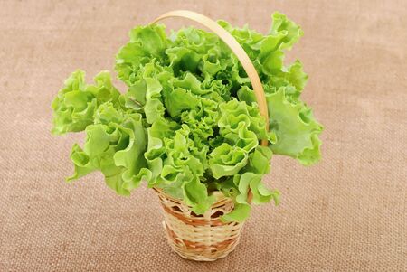 Basket with green lettuce salad on sackclothの写真素材