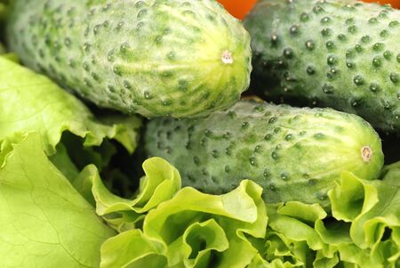 Composition from cucumbers, salad and other greensの写真素材