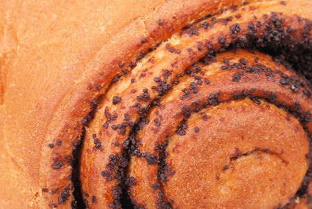 Background from fresh bun with poppy seedの写真素材